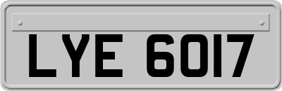 LYE6017