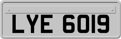 LYE6019