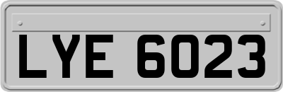 LYE6023
