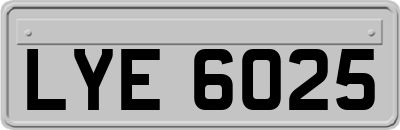 LYE6025