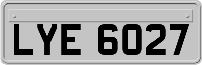 LYE6027