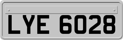 LYE6028