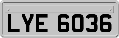 LYE6036