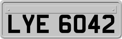 LYE6042