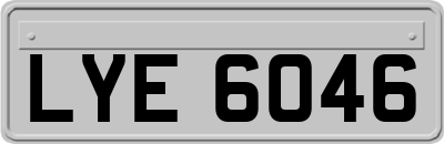 LYE6046