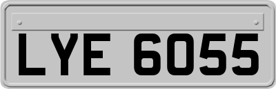 LYE6055
