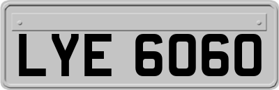 LYE6060