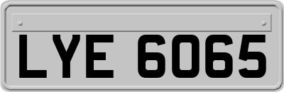 LYE6065