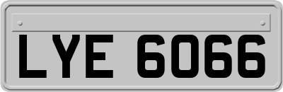 LYE6066