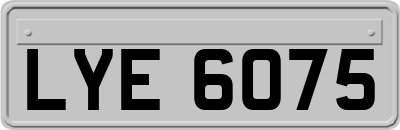 LYE6075