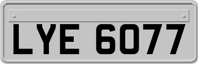 LYE6077