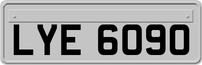 LYE6090