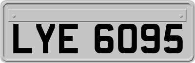 LYE6095