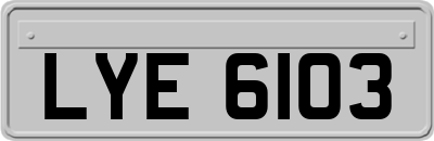 LYE6103