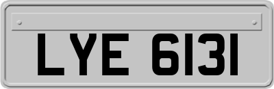 LYE6131
