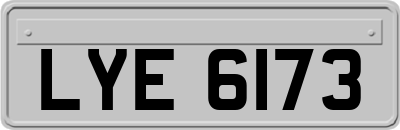 LYE6173
