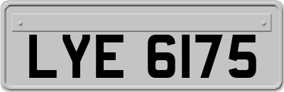 LYE6175