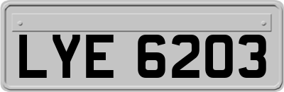LYE6203