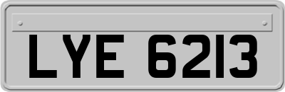 LYE6213