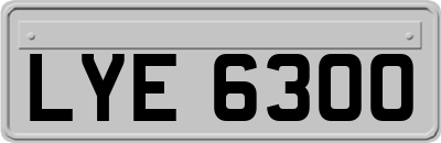 LYE6300