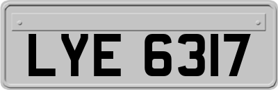 LYE6317