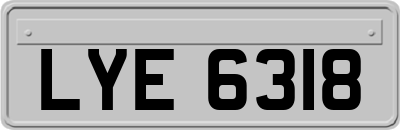 LYE6318