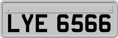 LYE6566