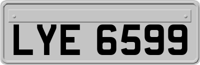 LYE6599