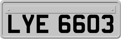 LYE6603