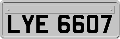 LYE6607