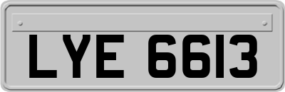 LYE6613