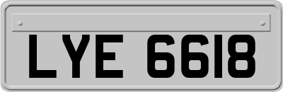 LYE6618