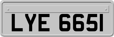 LYE6651
