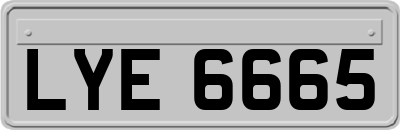 LYE6665