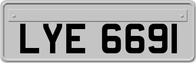 LYE6691