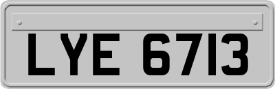 LYE6713