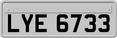 LYE6733