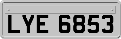 LYE6853