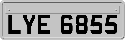 LYE6855