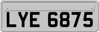 LYE6875