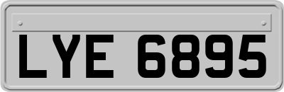 LYE6895