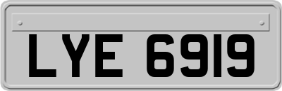LYE6919