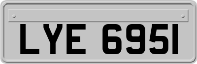 LYE6951