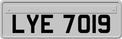 LYE7019