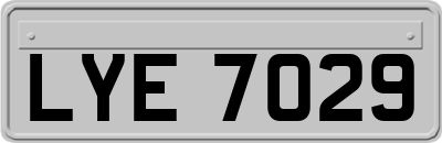 LYE7029
