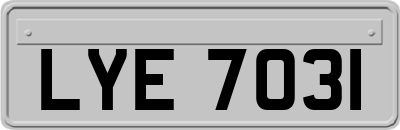 LYE7031