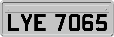 LYE7065