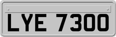 LYE7300