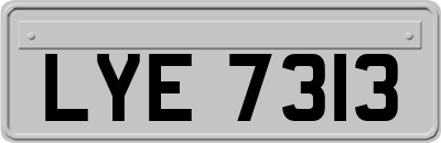 LYE7313