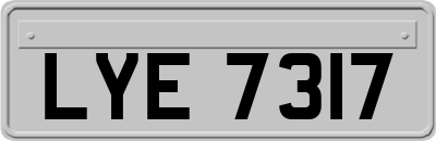 LYE7317